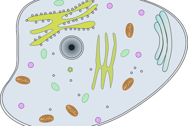 biologie cellulaire