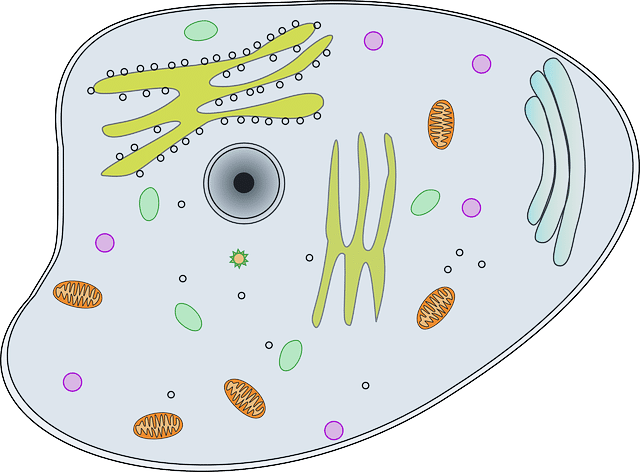 biologie cellulaire