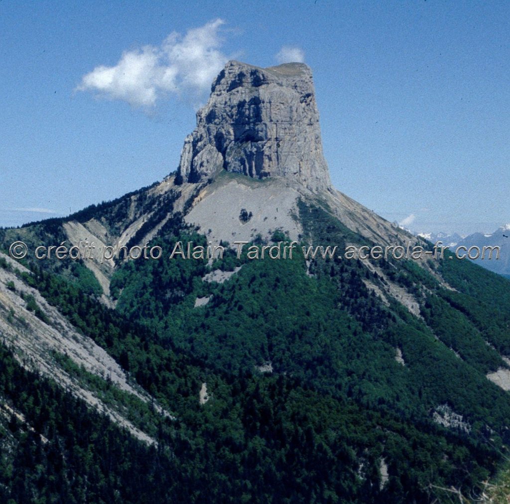 stage botanique dans le Vercors