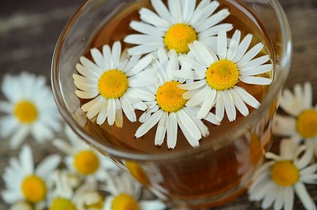 les bases de la naturopathie