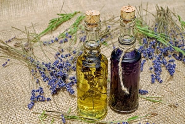 meilleure école de naturopathie, formation en naturopathie
