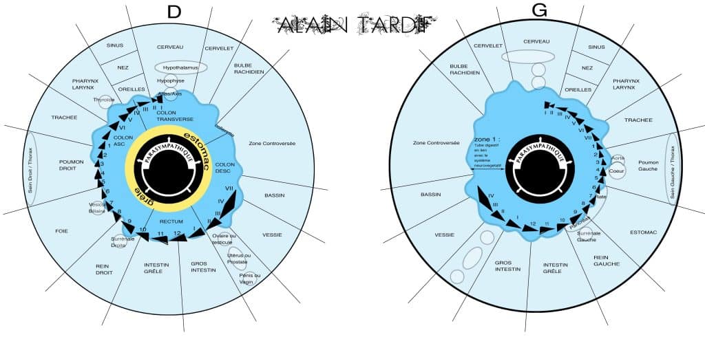 l'iridologie, cartographie d'Alain Tardif