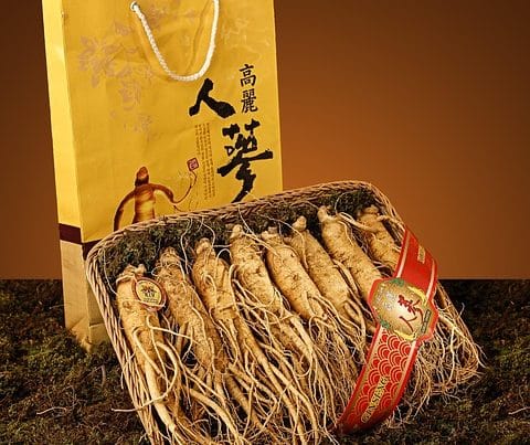 le ginseng